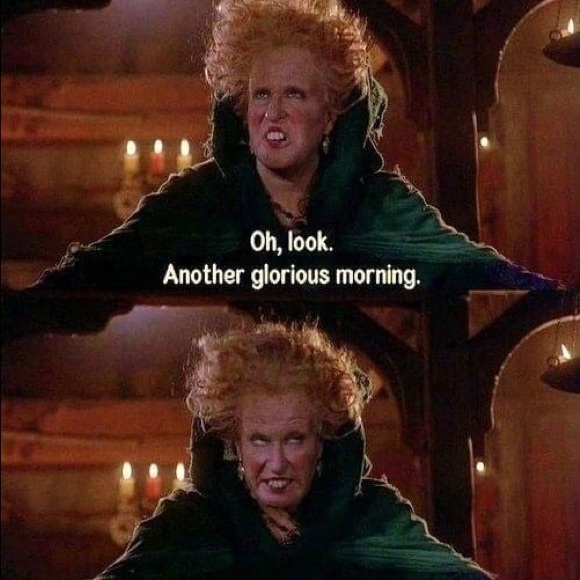 Meet your Posher, Tasha - Picture 1 of 1